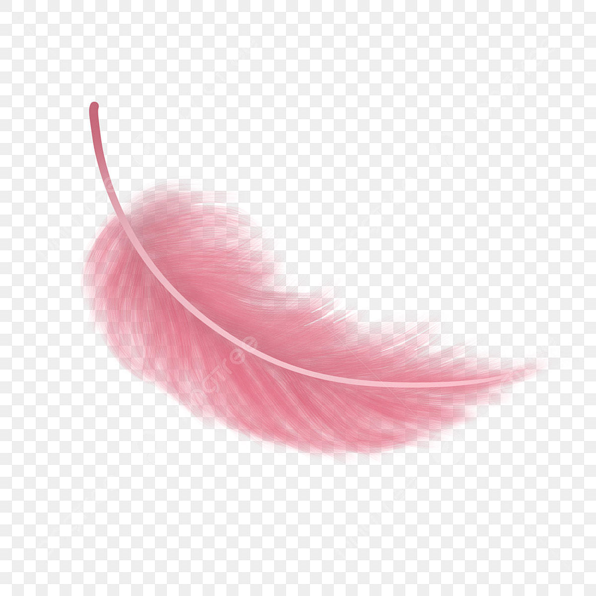 Testing